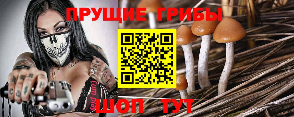 Псилоцибиновые грибы MAGIC MUSHROOMS  хочу   Гулькевичи  Вход с VPN 