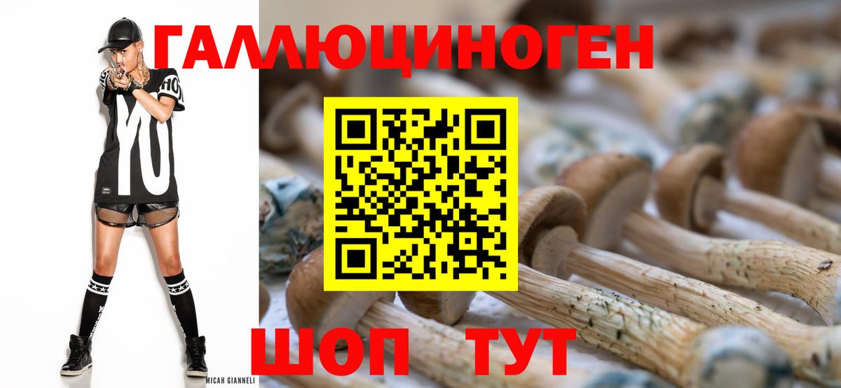Псилоцибиновые грибы Cubensis Гулькевичи